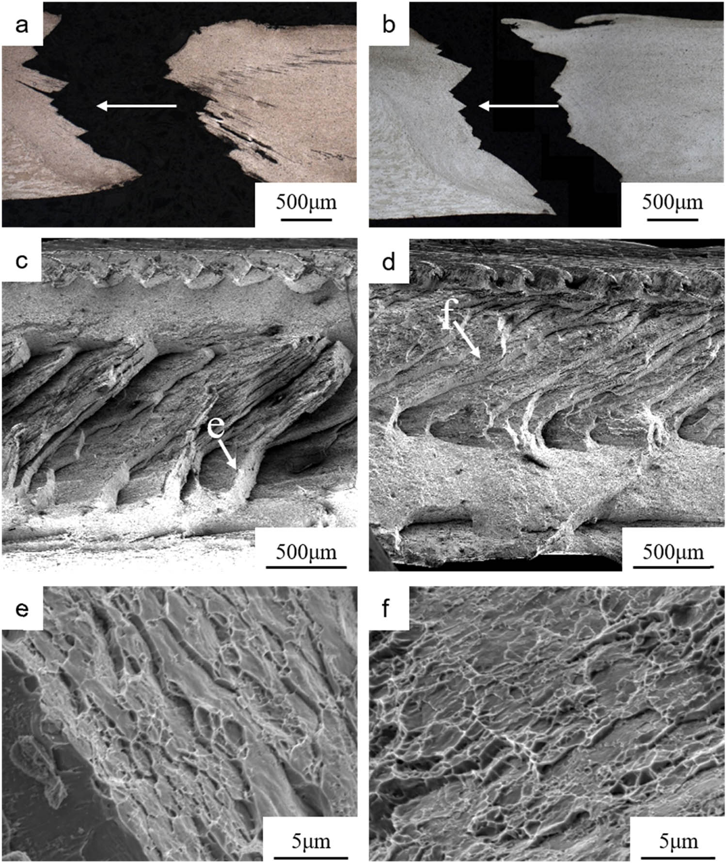 Figure 12 
                  OM of as-tested (a) A3 and (b) B3 specimens and observation direction of SEM indicated by white arrow; SEM of fracture surface with M3: (c) A3 tensile specimen and (d) B3 tensile specimen; (e) local zone indicated by white arrow in (c) rotated counterclockwise about 70° for better observation; (f) local zone indicated by white arrow in (d).
               