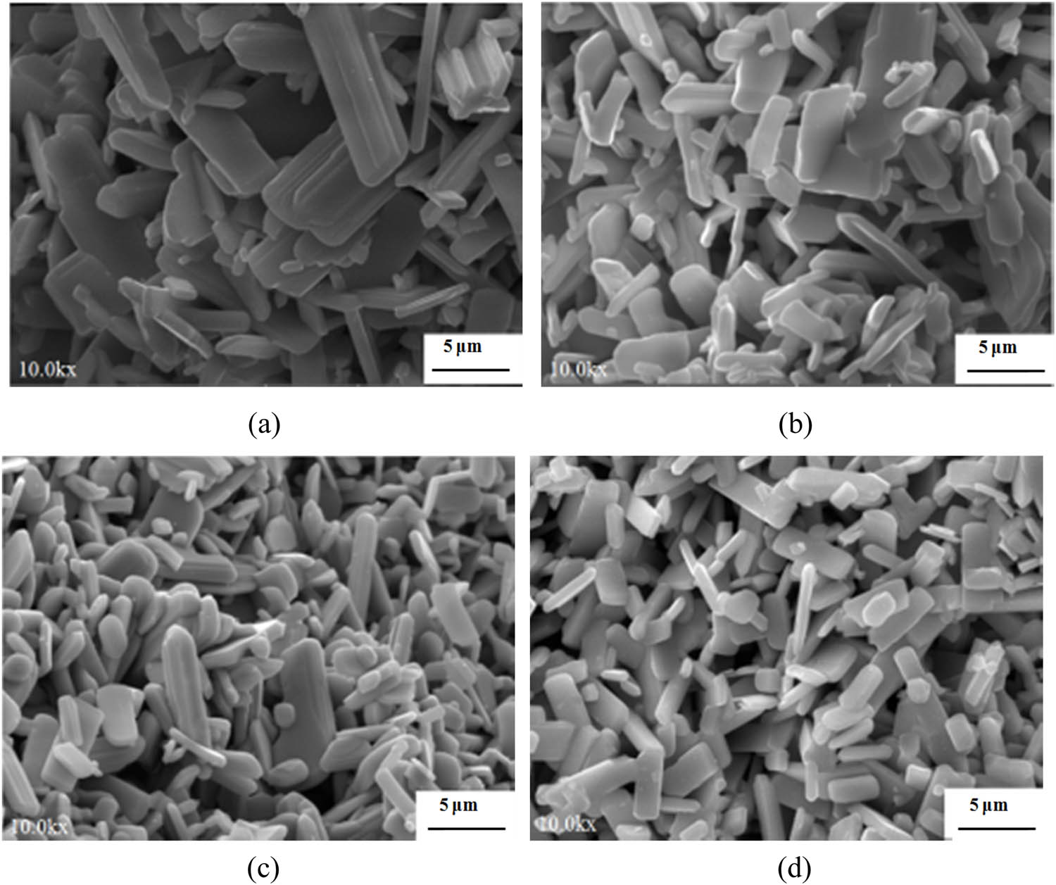 Figure 3 
                  SEM images of MoO3 powder synthesized by hydrothermal method with different filling degrees. (a) 45% (180°C × 16 h pH = 1.0). (b) 60% (180°C × 16 h pH = 1.0); (c) 75% (180°C × 16 h pH = 1.0). (d) 90% (180°C × 16 h pH = 1.0).
               
