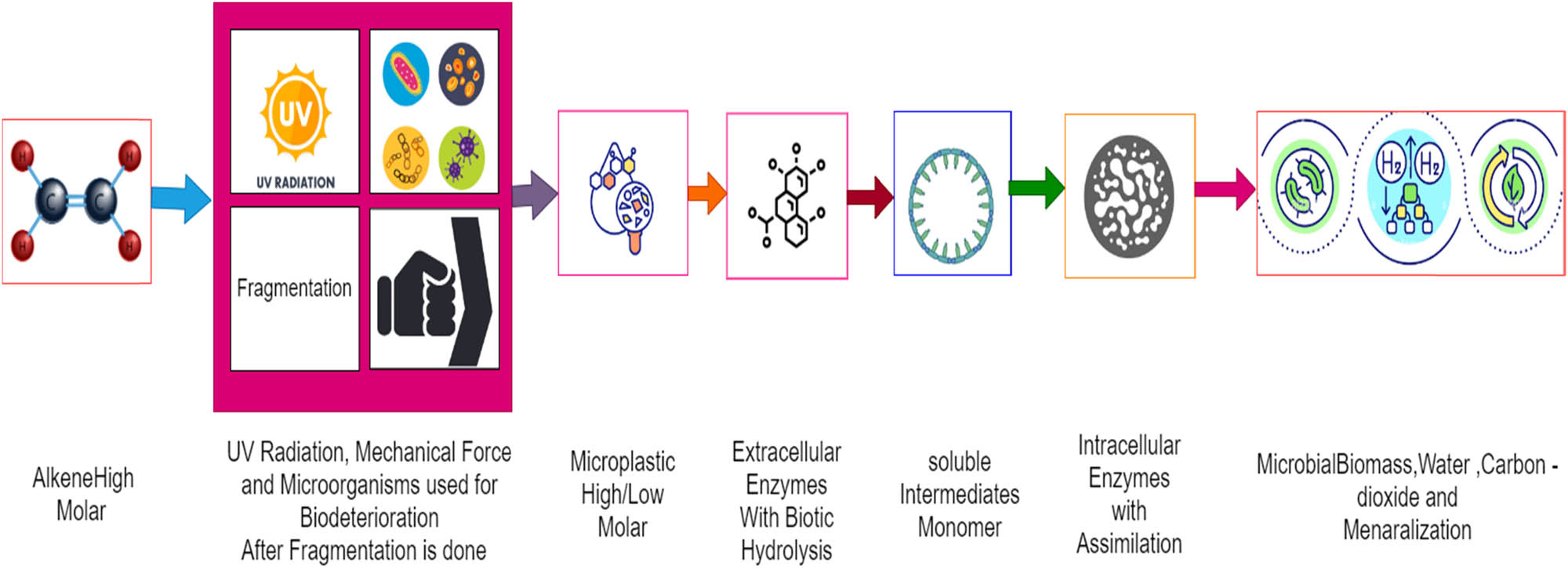 Figure 3 
                  Biodegradation of alkene to produce protein and carbon dioxide.
               