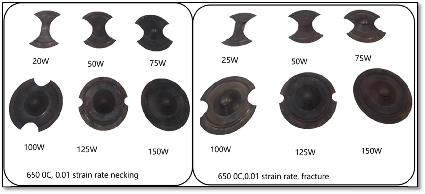 Figure 4 
               Experimentally stretched cups at 650°C from different size blanks at 0.01 s−1.
            