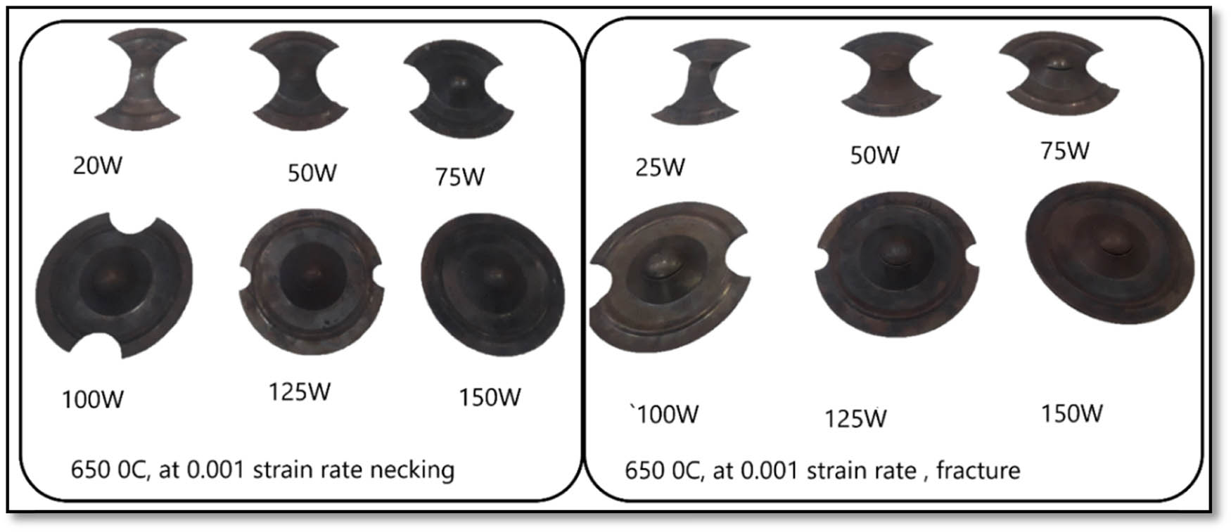 Figure 5 
               Experimentally stretched cups at 650°C from different size blanks at 0.001 s−1.
            