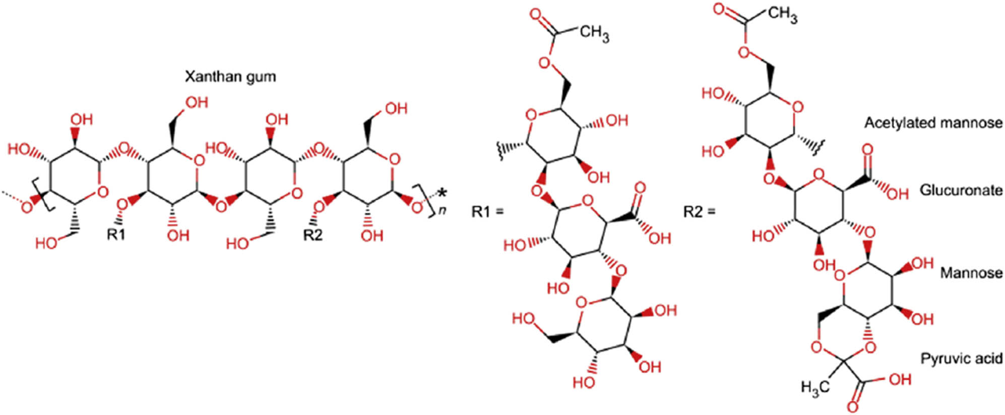 Figure 1 
                  Chemical structure of XG [20].
               