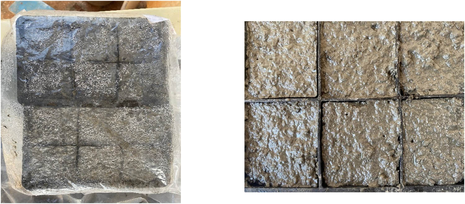 Figure 6 
                  Preparation of CXT cubes.
               