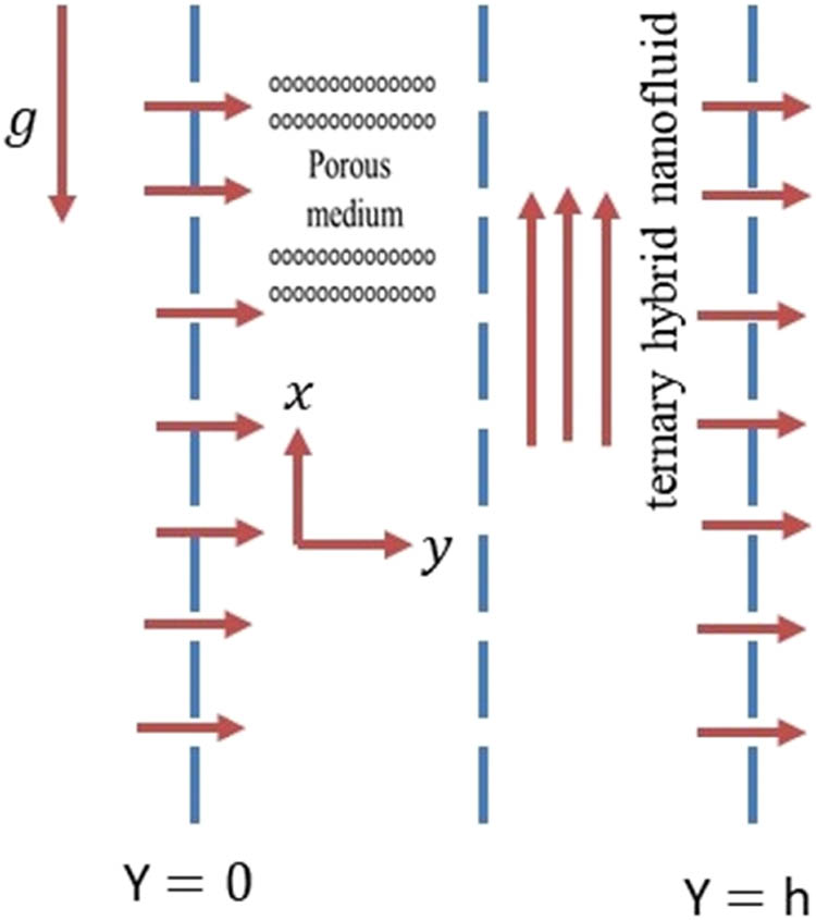 Figure 1 
               Flow problem geometry.
            