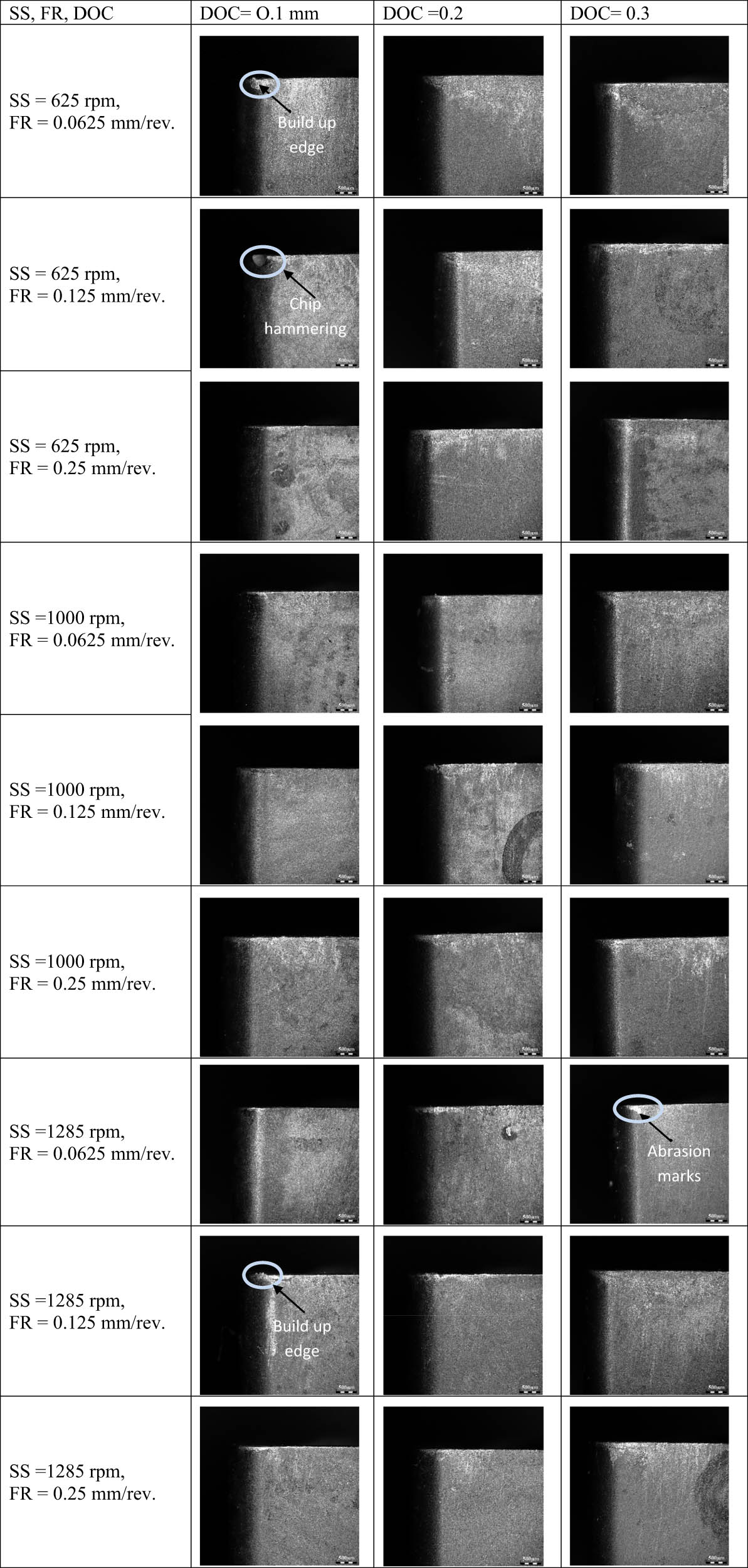 Figure 5 
                  Images of flank wear.
               