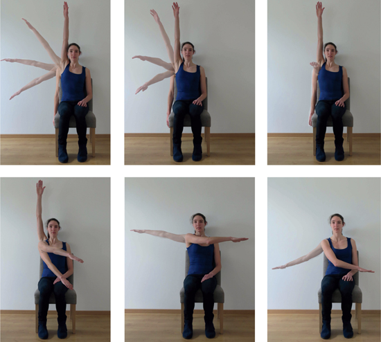 Figure 1 
            Reachable workspace of the arm.
          