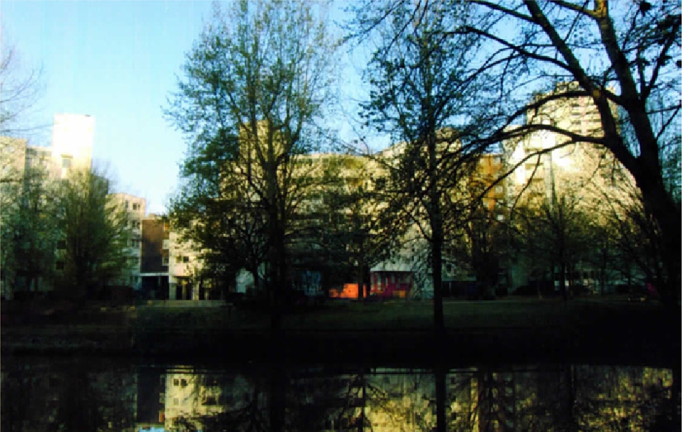 Figure 12 
            Picture by participant 9 featuring a lake, trees and green spaces in front of tower blocks.
          