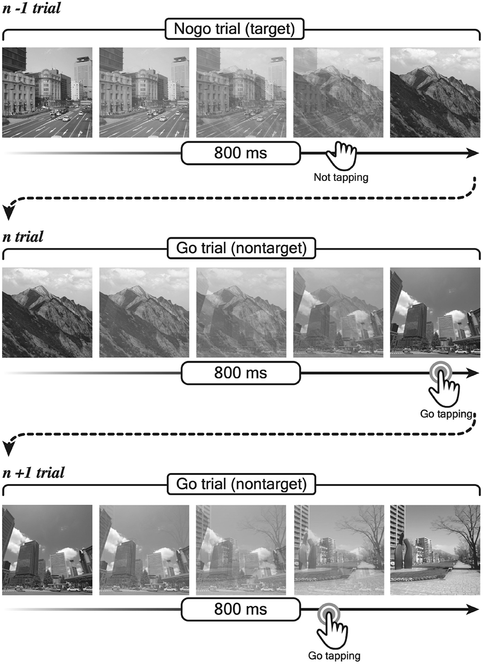 Figure 3:
Stimulus transition and response types in the gradual-onset continuous performance task. Participants tapped the screen on go trials (city scenes) and withheld responses on nogo trials (mountain scenes).