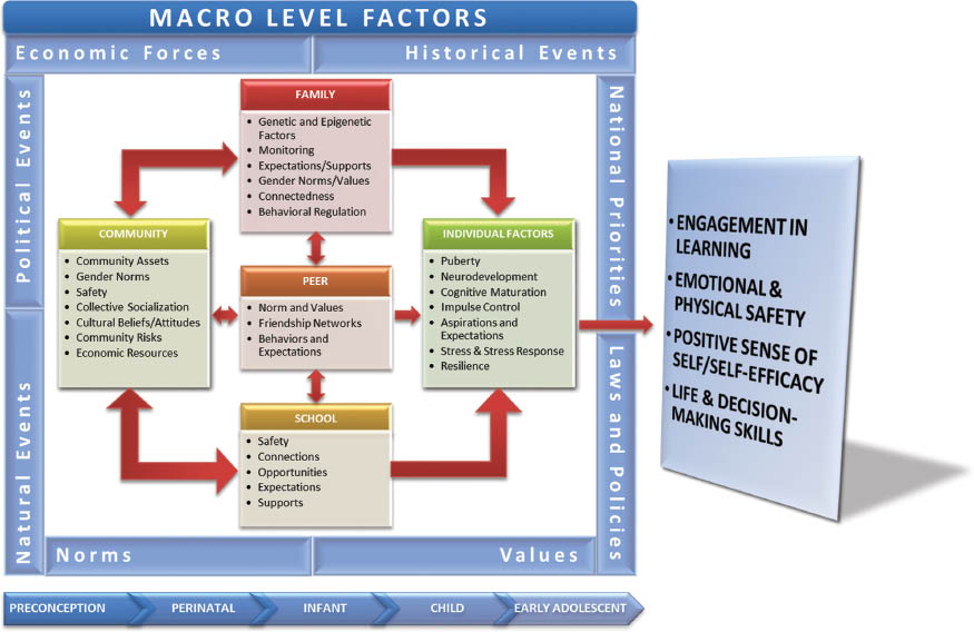 Figure 2 A conceptual framework for healthy early adolescence.