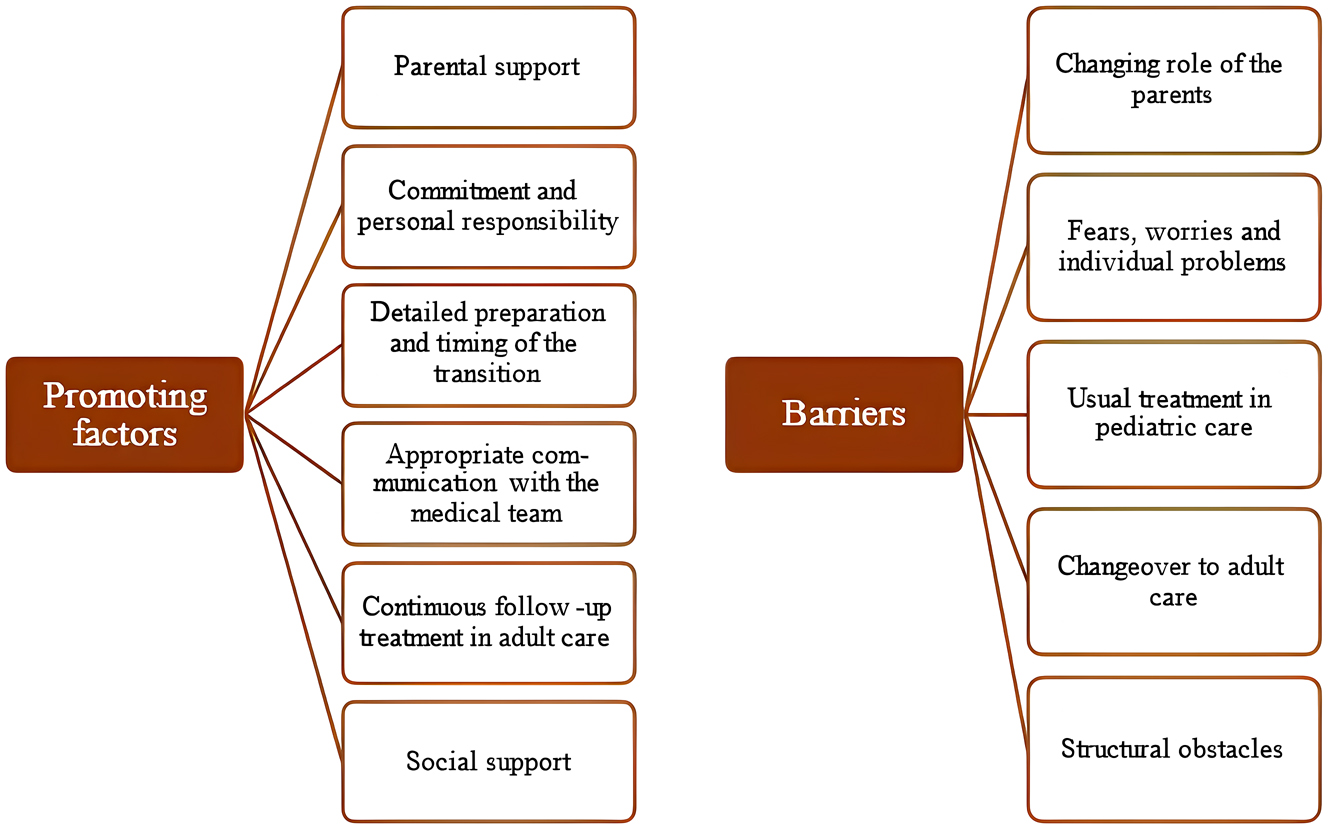 Figure 2: 
11 deductively and inductively identified categories, assigned to the two subject areas “promoting factors” and “barriers”
