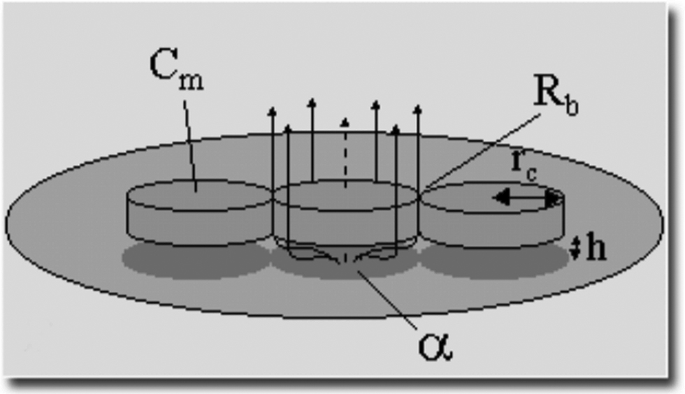 Figure 2: Visualizing the ECIS Model: Image obtained from Applied BioPhysics’ website (biophysics.com). In the ECIS model, cells are viewed as disks, characterized by parameters Rb, α, rc, Cm, and h.