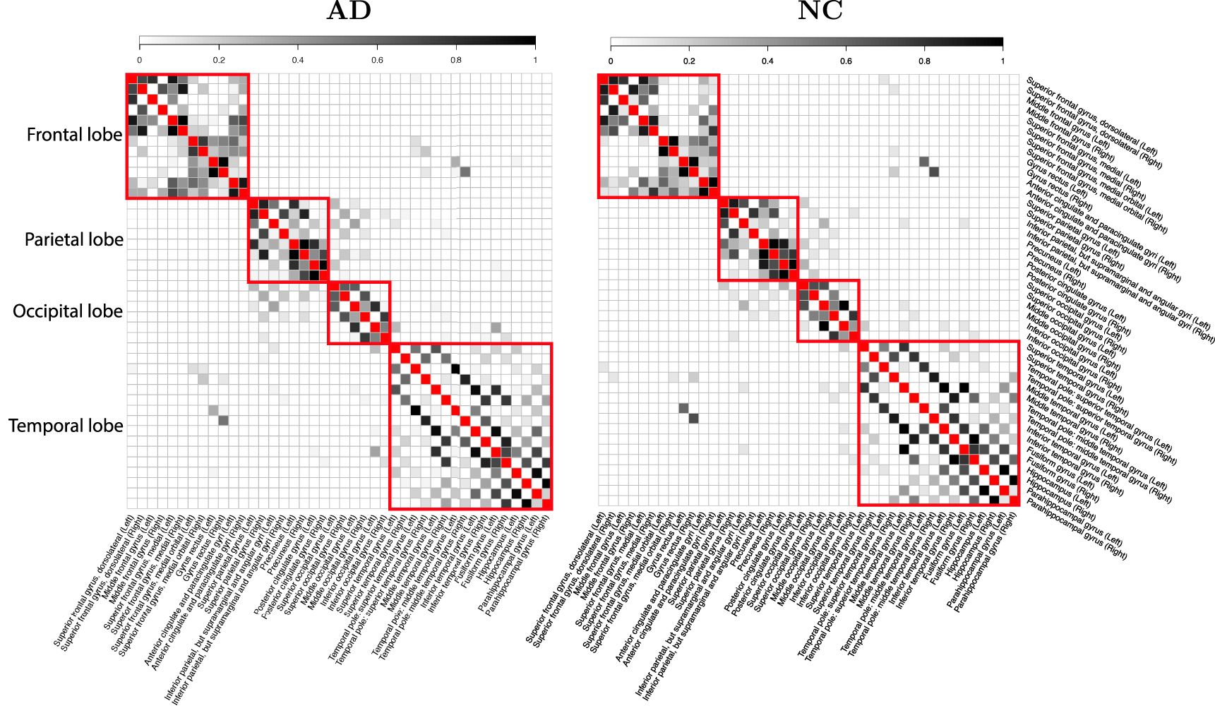 Figure 5: 
Average brain graphs within the 42 ROI for the AD and NC group. The graphs indicate that connections are more likely within-lobes than between-lobes.
