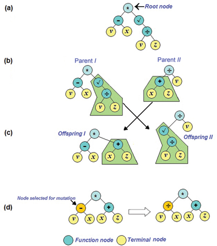 Figure 3: Illustration of a tree structure and selection, crossover and mutation operations in a generic genetic programming implementation. (a) Schematic of a tree structure encoding an expression “(v-x) * [sqrt (v ÷ z)]”; (b) selection of tree branches for crossover; (c) crossover operation, and (d) mutation operation.
