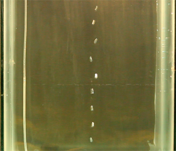 Figure 3: Image indicating non spherical bubbles.