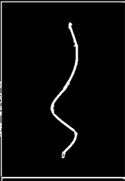 Figure 6: Trajectory of bubble.