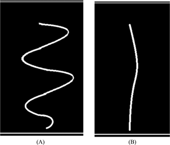 Figure 9: Bubble trajectory in (A) Water (B) CMC solution.