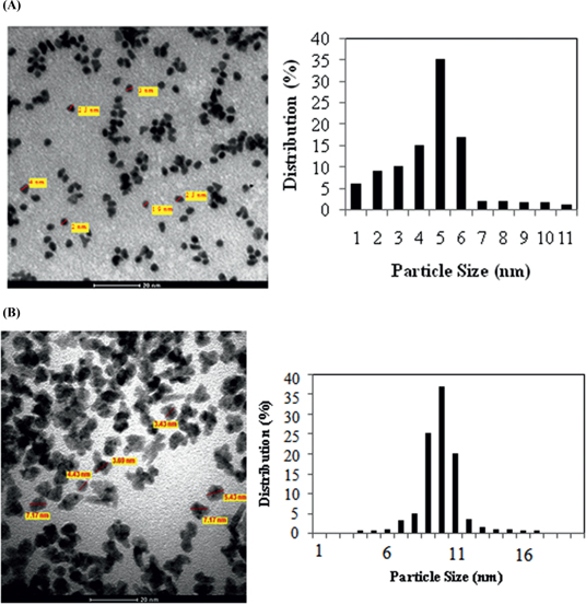 Figure 5: TEM images and particle size distribution of Rh/γ-Al2O3 nanocatalysts synthesized by (A) ME (B) MWI technique.