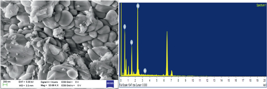 Figure 6: SEM image and EDAX profile of Rh/γ-Al2O3 nanocatalysts synthesized by ME technique.