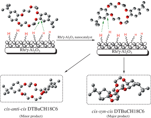 Figure 8: Mechanism of formation of CSC DTBuCH18C6 on Rh/γ-Al2O3 nanocatalyst.