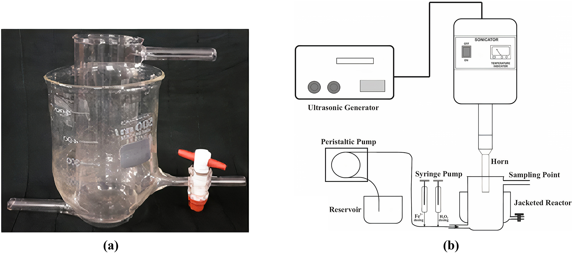 Teaser image from the article