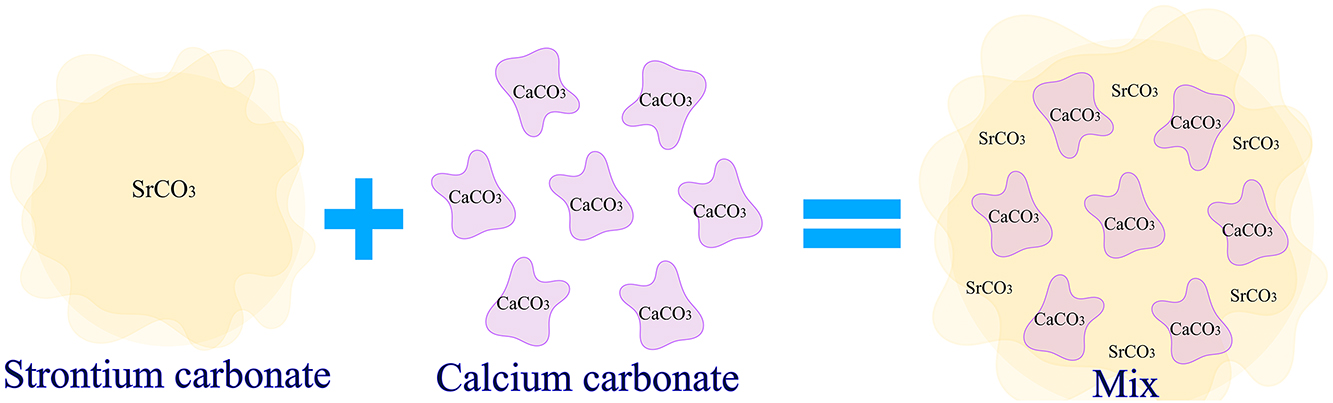 Teaser image from the article