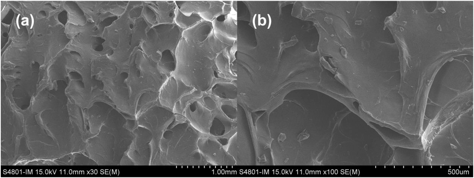 Teaser image from the article