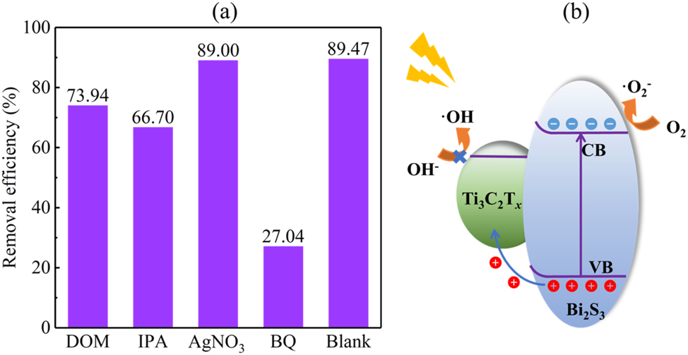 Teaser image from the article