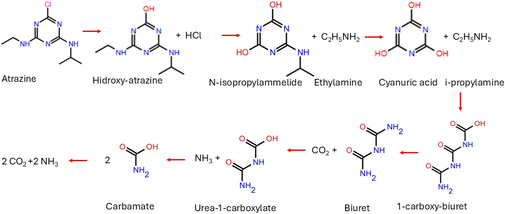 Teaser image from the article