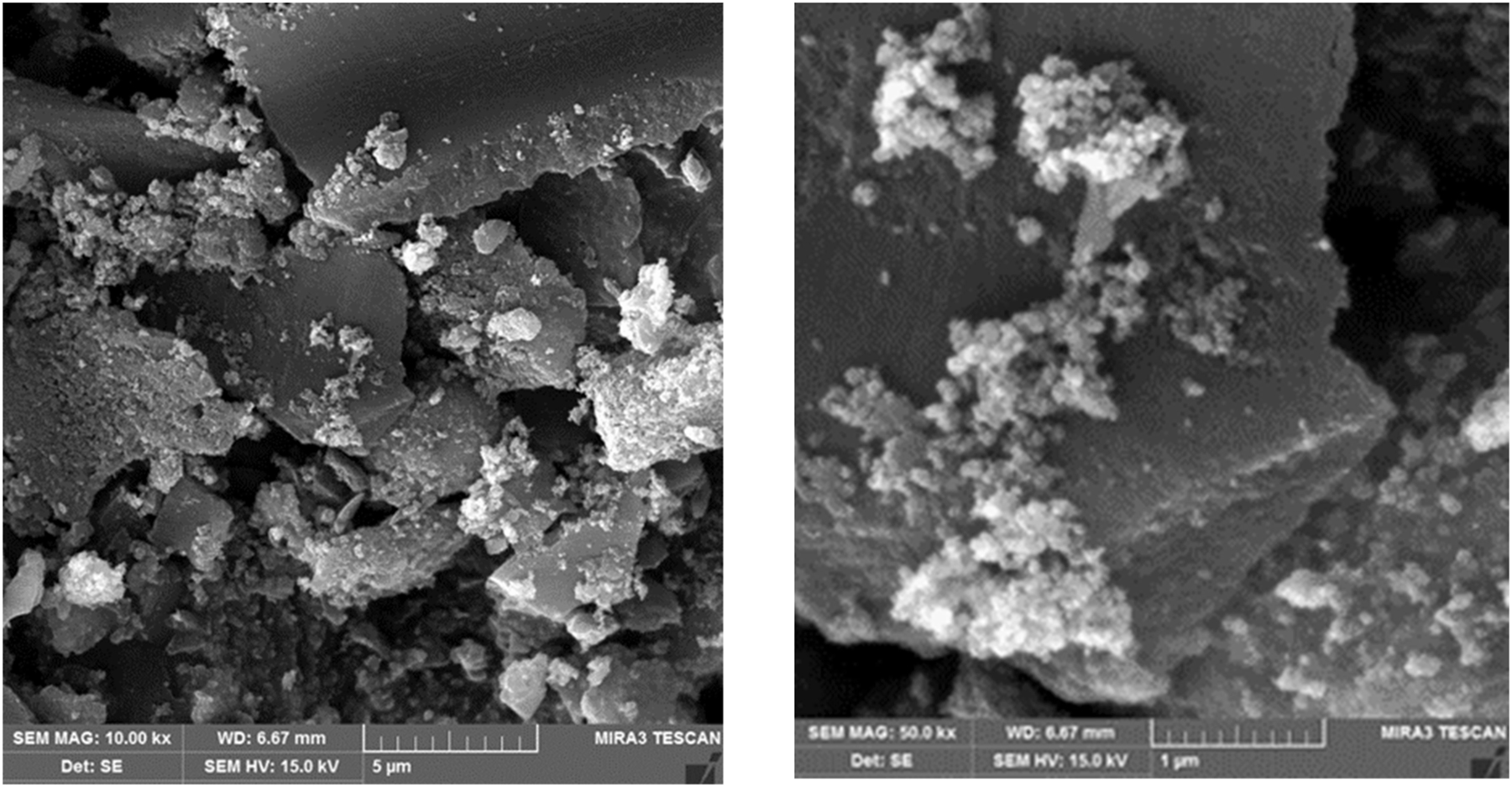 Teaser image from the article