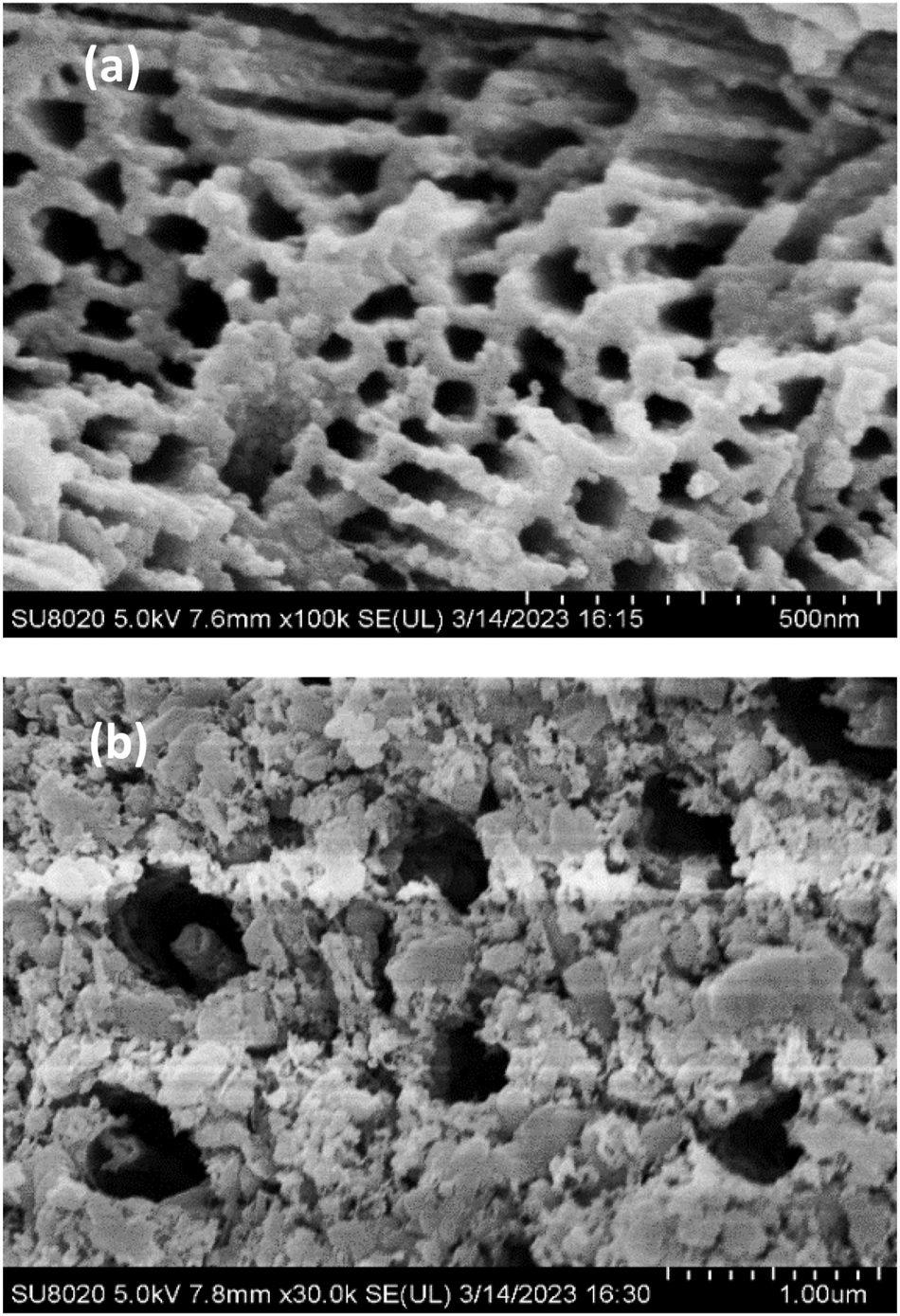 Teaser image from the article