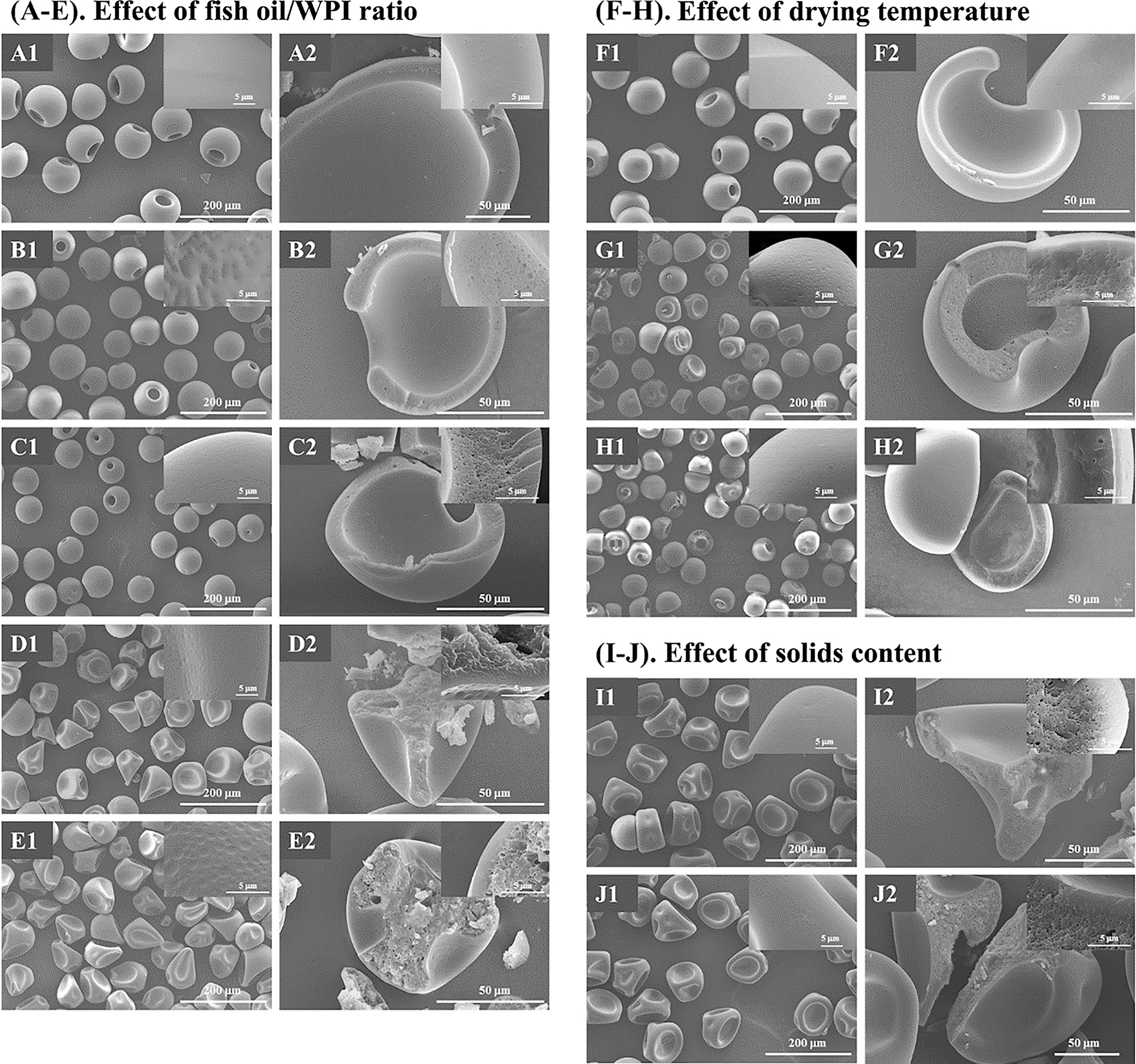 Figure 2: Morphology of fish oil microcapsules produced by the micro-fluidic jet spray dryer. (A–E) SEM images of WPI (O0W6-6-160), O1W5-6-160, O1W3-6-160, O1W1-6-160, and O2W1-6-160 microparticles, respectively; (F–H) SEM images of WPI (O0W6-12-130), O1W3-6-130 and O1W3-6-100 microparticles, respectively; (I, J) SEM images of O1W3-12-160 and O1W3-18-160 microparticles, respectively. The insets in A1–J1 show the surface morphology for each type of microcapsules, and those in A2–I2 show the cross-section of the microcapsules.