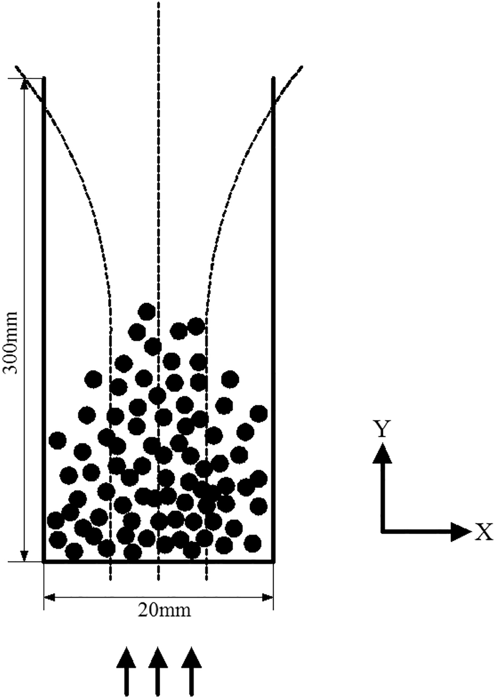 Figure 1: 
Model of liquid-solid magnetic fluidized bed.
