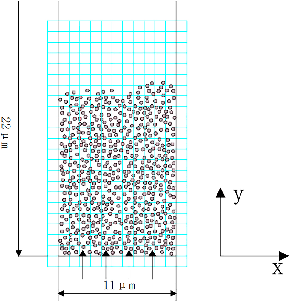Figure 2: 
Simulation model of magnetic fluidized bed with two-dimension and two-phase.
