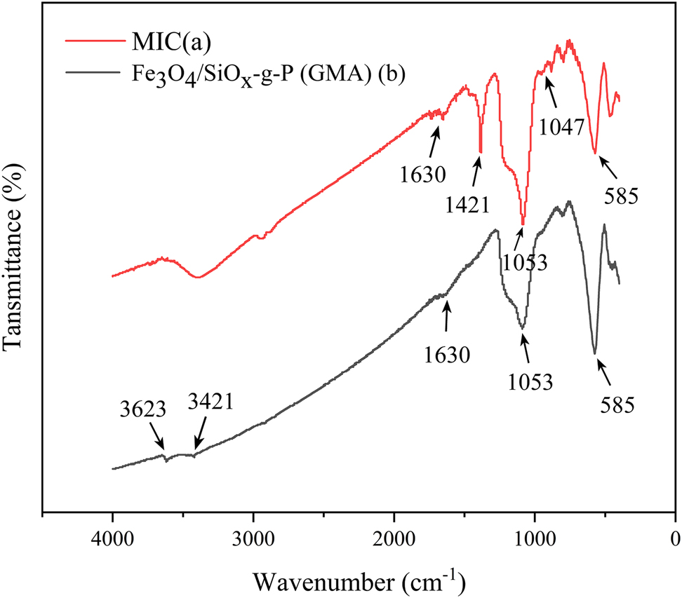 Figure 6: 
FT-IR of Fe3O4/SiOx-g-P (GMA) and MIC.
