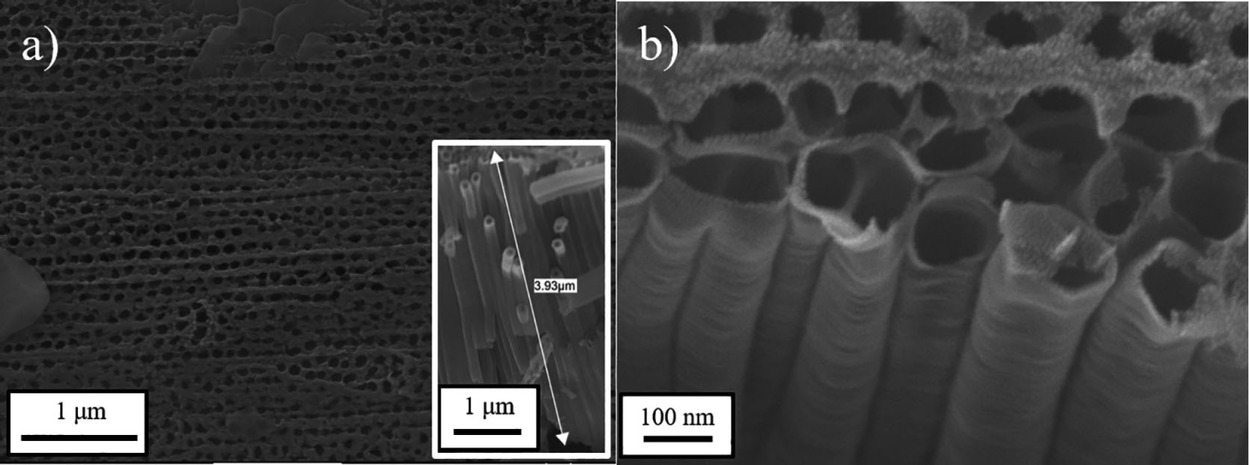 Fig. 2 (a and b) Surface FE-SEM images of TNTA with cross-sectional SEM image of TNTA in the inset.