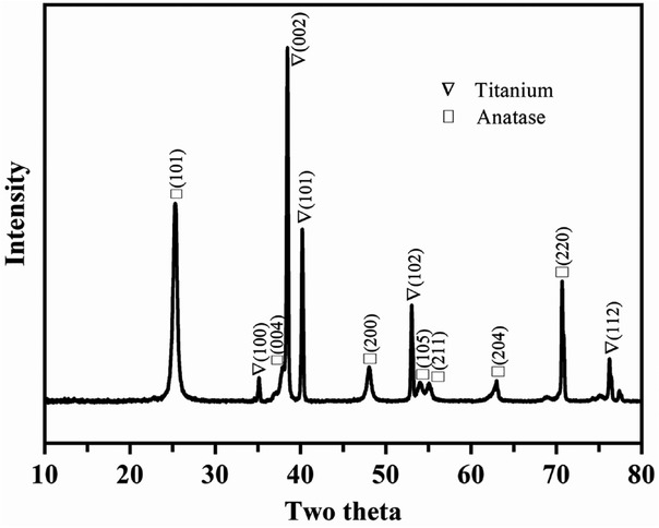 Fig. 3 XRD pattern of TNTA (λ = 1.54178 Å).