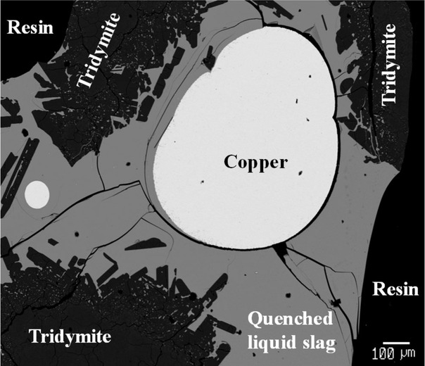 Fig. 1 Back-scattered electron image of quenched slag/copper/tridymite sample after equilibration at T = 1523 K.