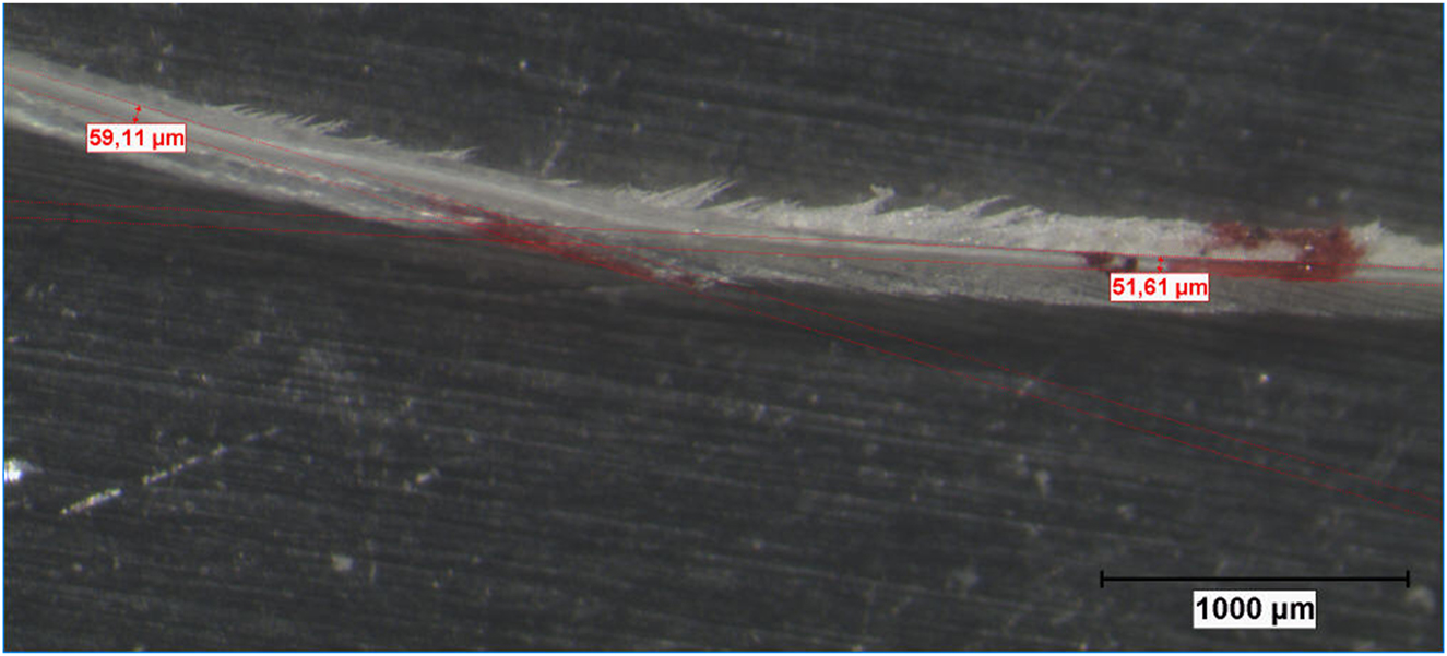 Figure 5: 
Microscopic examination of an aged CFF diameter.
