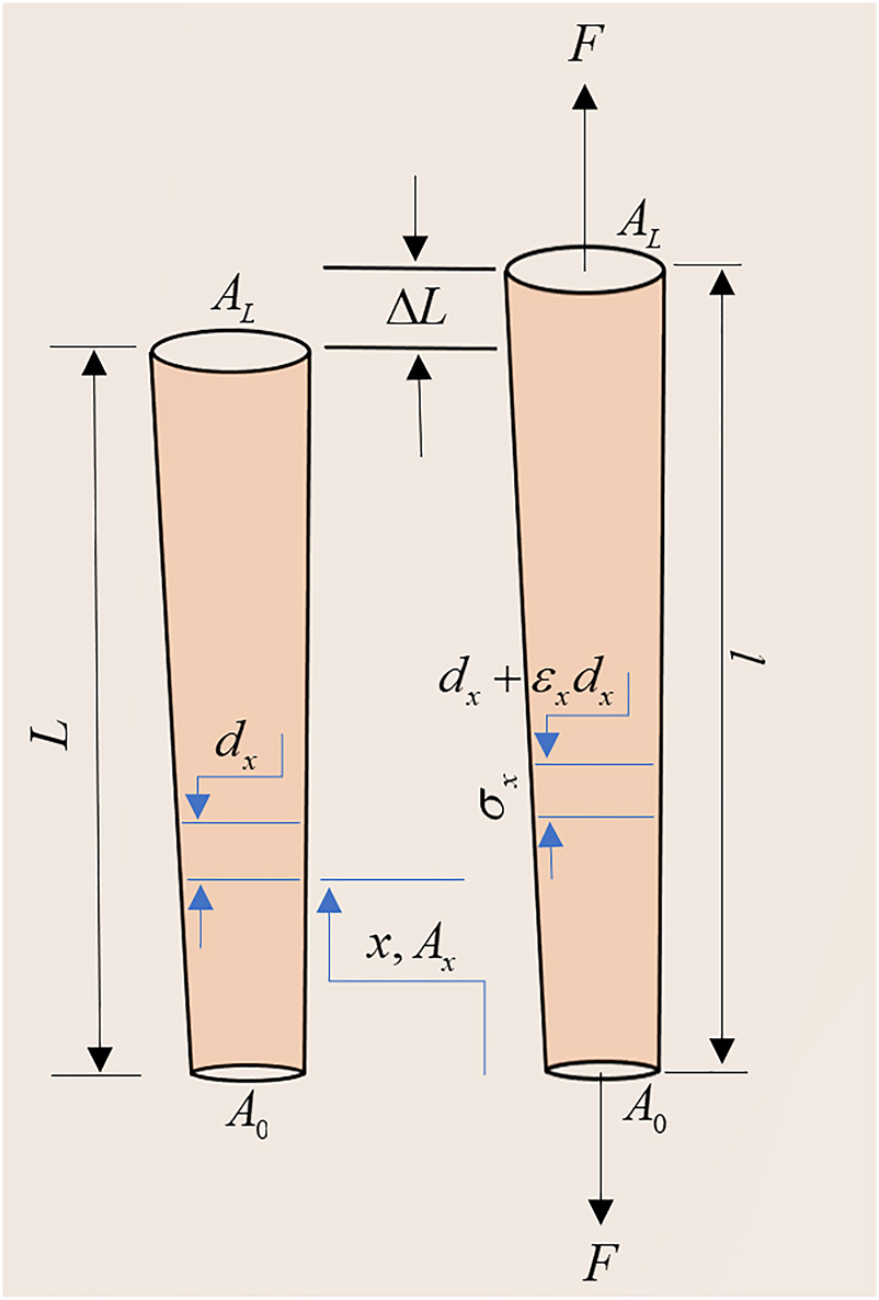 Figure 6: 
Schematic view of the cross-sectional area of a CFF with irregular diameter with and without force applied in the tensile direction.
