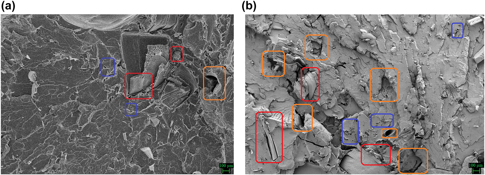 Figure 11: 
SEM micrographs of (a) non-aged, (b) aged 2 % CFF/PLA biocomposite.
