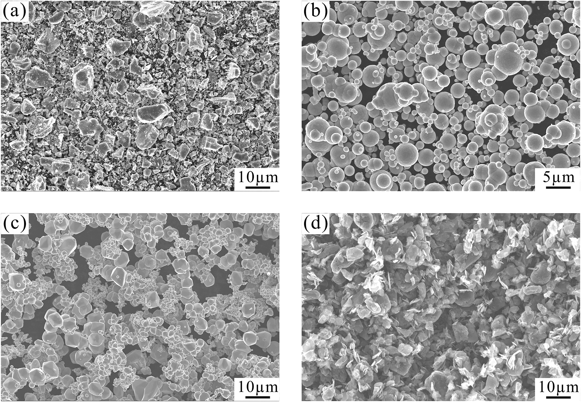 Figure 1:
SEM micrographs of raw materials: (a) TiC powders, (b) Fe powders, (c) Mo powders, and (d) graphite powders.