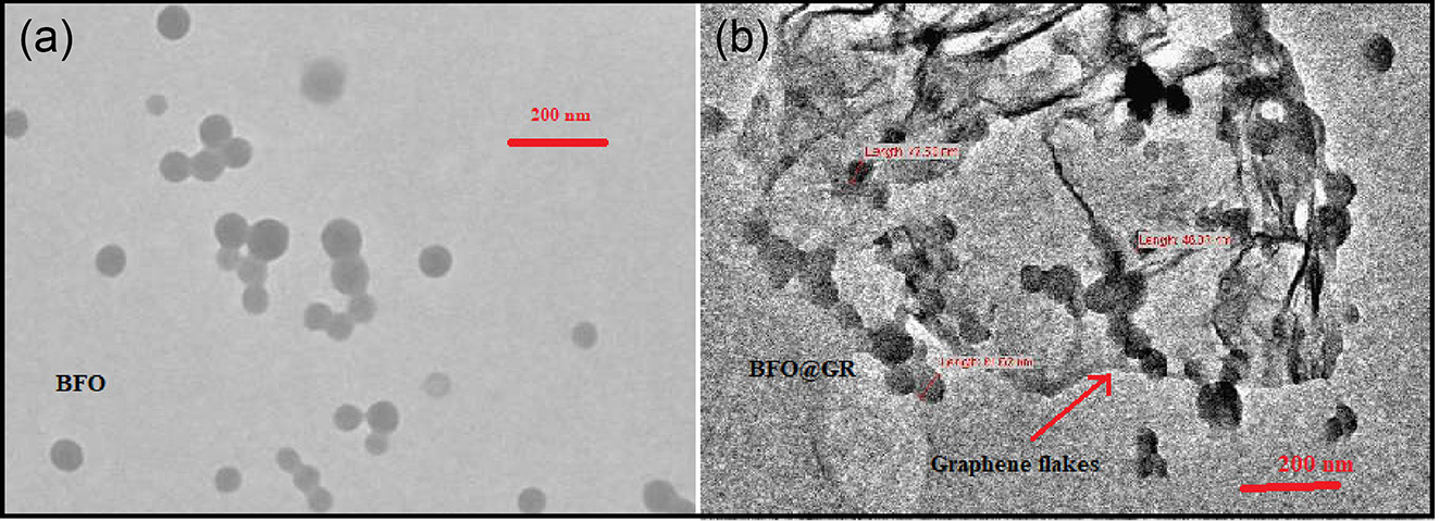 Figure 2:
TEM micrographs of (a) doped BFO, and (b) BFO–rGO composite.