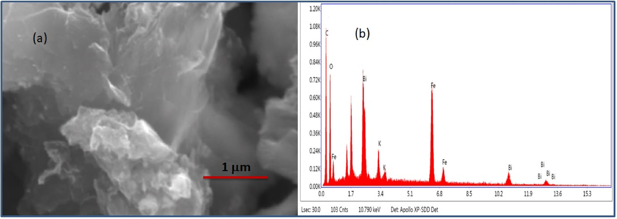 Figure 3:
SEM micrographs of (a) BFO–rGO composite, and (b) corresponding EDAX spectra of BFO–rGO composite.