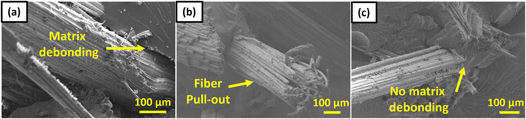 Figure 5: 
SEM micrographs of the fractured surface of a 20 % fiber-reinforced composite: (a) and (b) untreated fibers, and (c) PVA-treated fibers.
