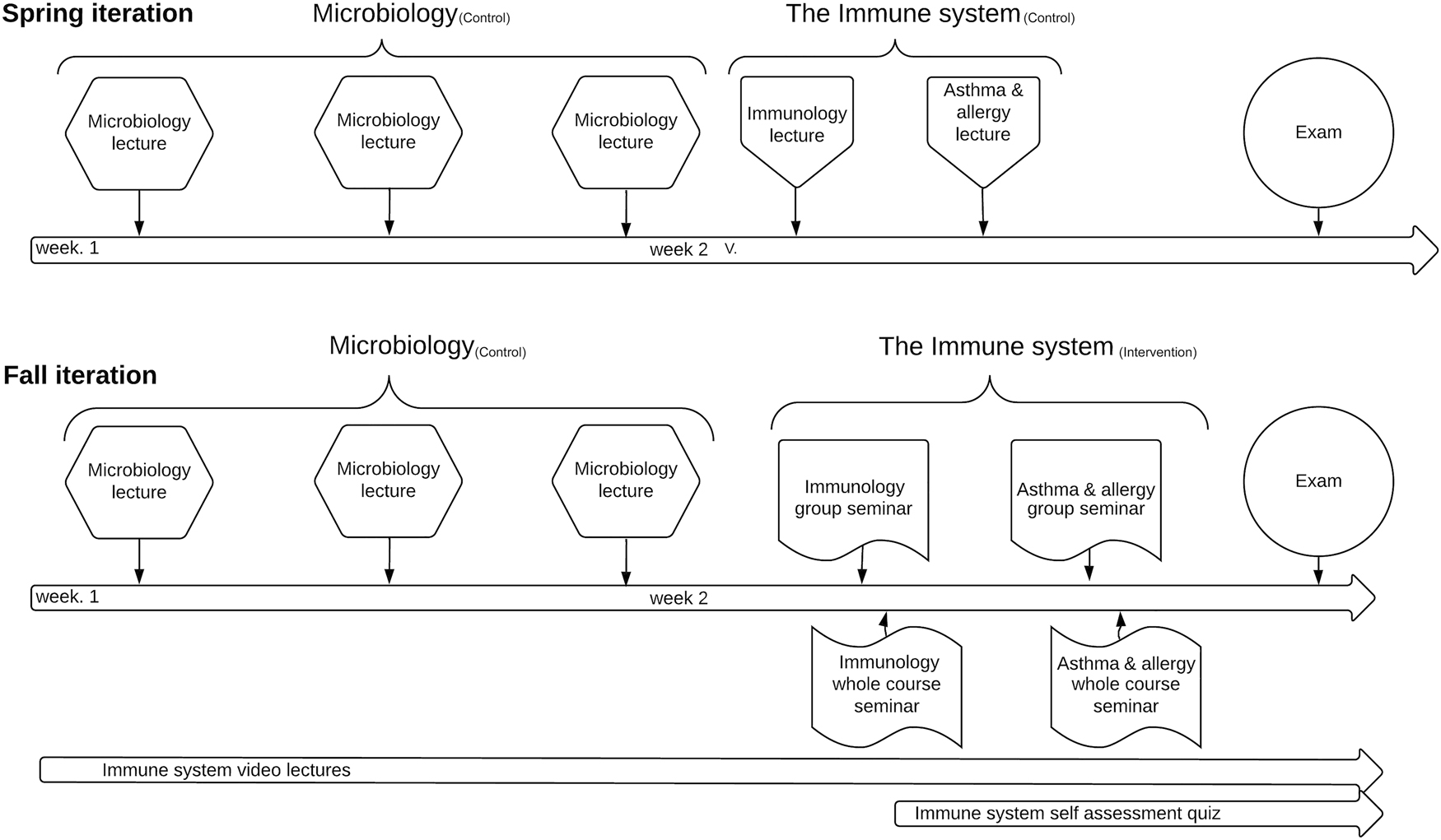 Figure 1: 
Illustration of the course structure for both iterations.