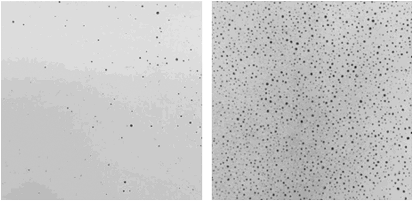 Figure 1:
Cropped images of the wall surface for rotomolded samples having either (left image) 0.5 % void area, or (right image) 5.2 % void area.