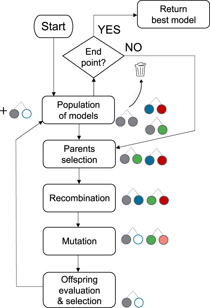 Figure 5: 
Flowchart of the genetic algorithm (adapted from Roland et al. 2021).
