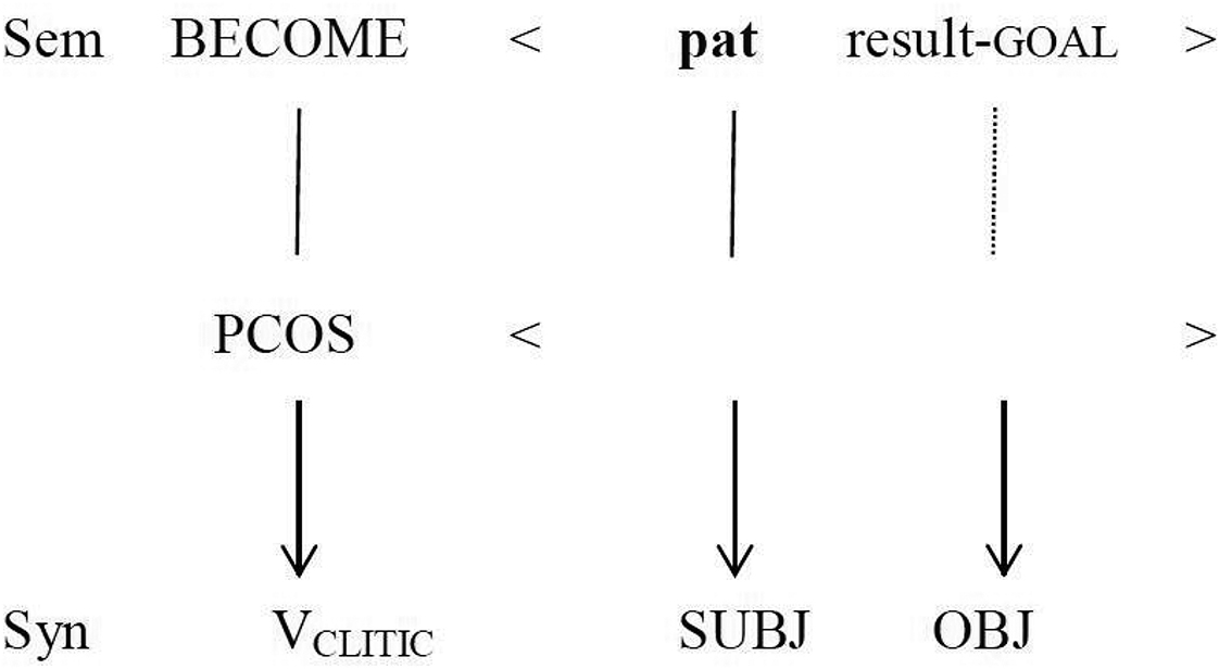 Figure 1: PCOS construction in Spanish.