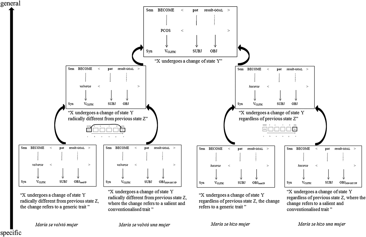 Figure 5: A constructional approach to volverse ‘turn.cl’ and hacerse ‘make.cl’.