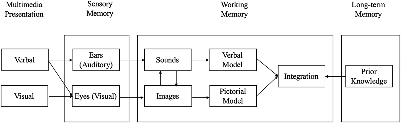 Figure 1: 
Cognitive theory of multimedia learning (Mayer 1997, 2001).
